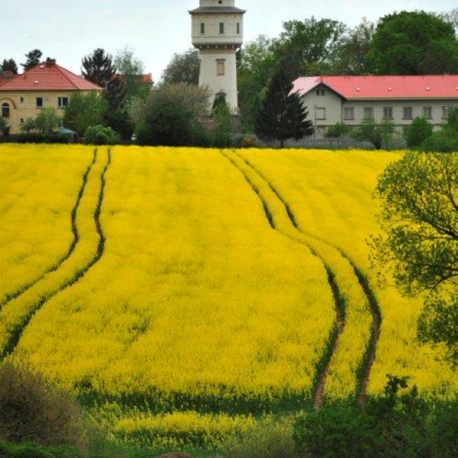 Vodojem Dobřany