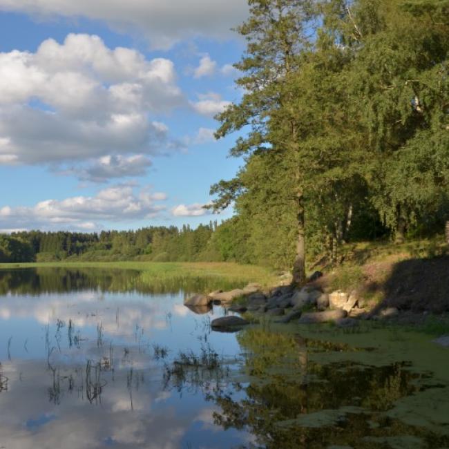 Fotosoutěž VODA 2017 – Jiří Plemeník: Jistebnické rybníky