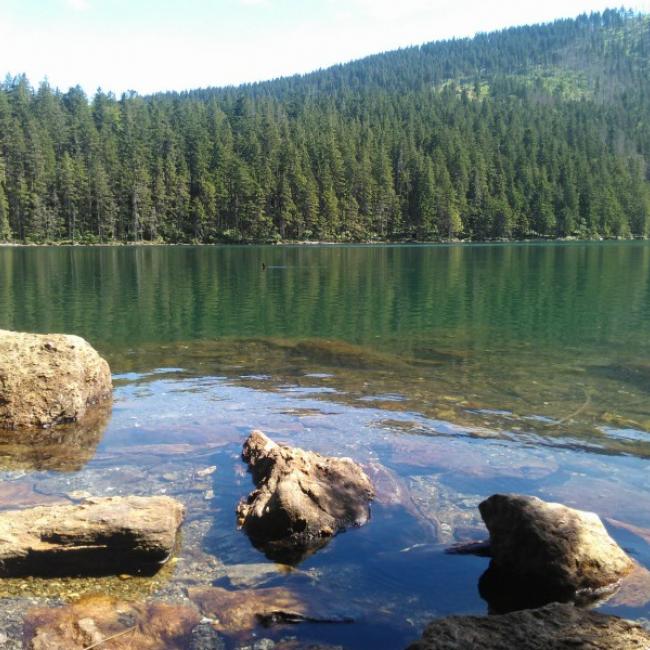 Fotosoutěž VODA 2017 – Lenka Šoltysová: Černé jezero, Šumava