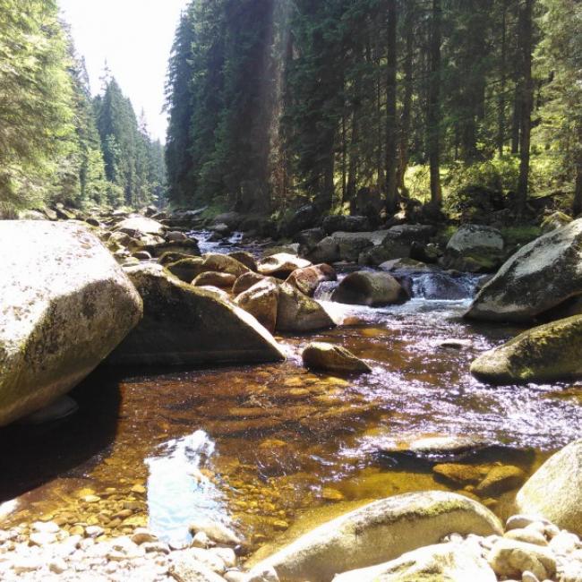 Fotosoutěž VODA 2017 – Lenka Šoltysová: Řeka Vydra, Šumava