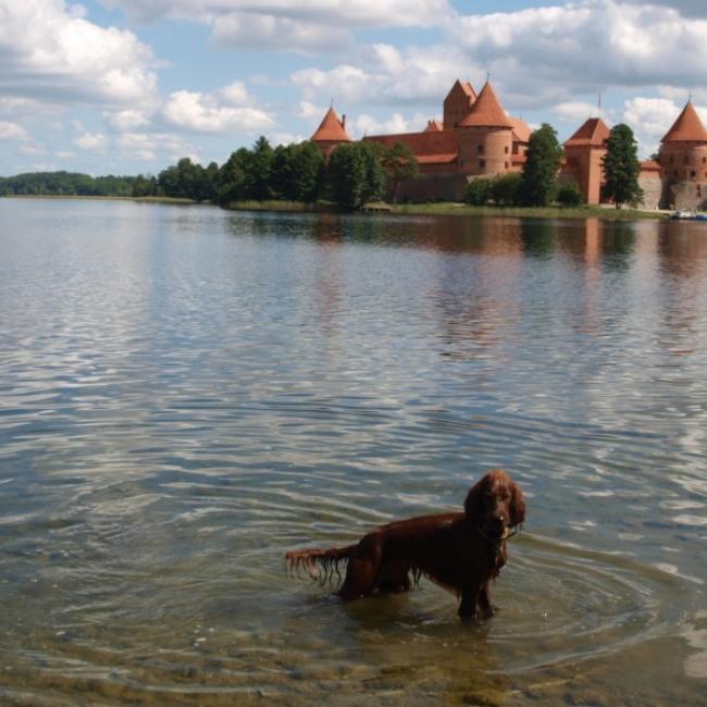 Fotosoutěž VODA 2017 – Marek Síbrt: Na lovu