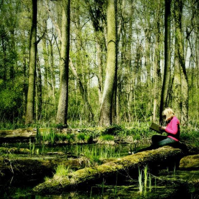 Fotosoutěž VODA 2017 – Marie Nováková: Lužní les Poděbrady, tady se to krásně bojí