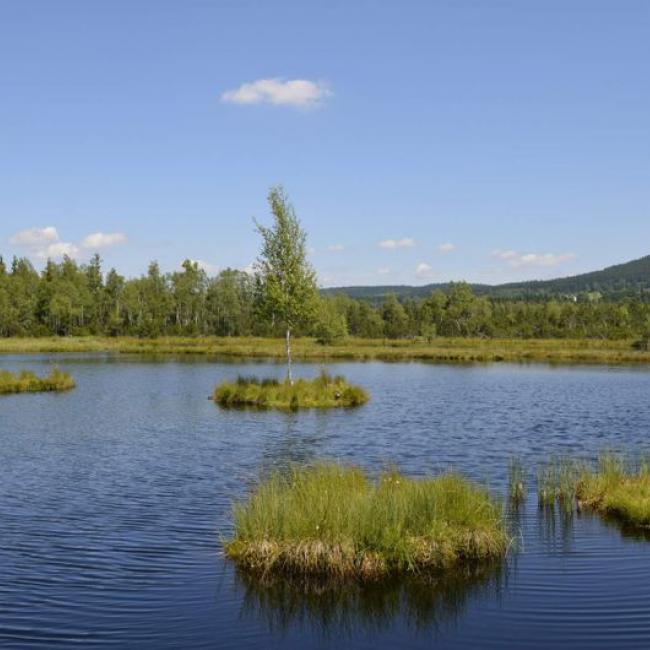 2. místo ve fotosoutěži VODA 2015: Kristýna Sedláková – Chalupská slať