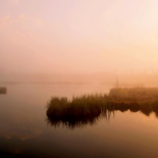 Fotosoutěž VODA 2019 – Věra Dobrovolná: Chalupská slať Šumava