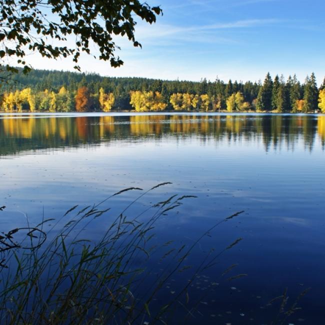 Fotosoutěž VODA 2019 – Ján Bocko: Jezero Kladská u Mariánských Lázní