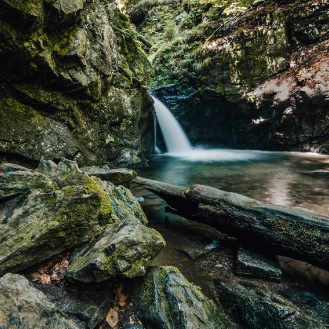 Fotosoutěž VODA 2019 – Kristýna Živná: Křišťálová studánka