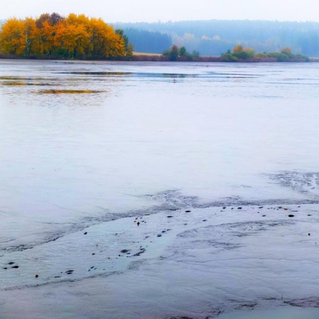 Fotosoutěž VODA 2019 – Ladislav Opekar: Kapří dálnice