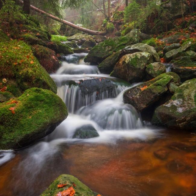 Fotosoutěž VODA 2019 – Zdeněk Weber: Pozdní podzim na Černém potoce 