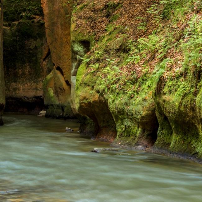 Fotosoutěž VODA 2019 – Radek Hortenský: Průrva Ploučnice