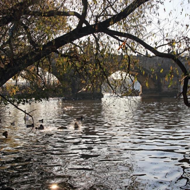 Fotosoutěž VODA 2019 – Svatopluk Dvořák: Praha