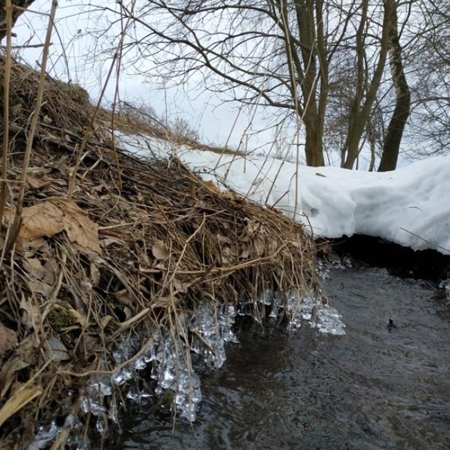 Fotosoutěž VODA 2019 – Sára Blažíčková: Tání