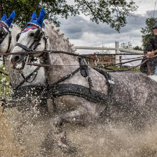 Fotosoutěž VODA 2019 – Jiří Durdík: Vodní příkop