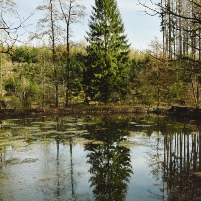 Fotosoutěž VODA 2019 – Marcela Lenertová: Zrcadlová hladina