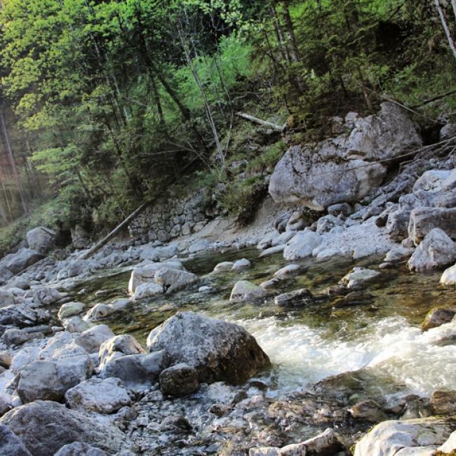 Fotosoutěž VODA 2019 – Kryštof Vaněk: Sluneční třpyt