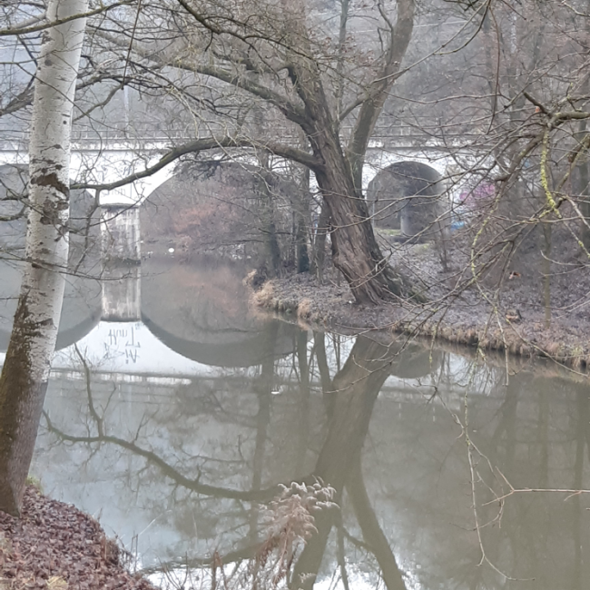 Fotosoutěž VODA 2023 – Dáša Kumpoštová: Kouzelné zrcadlení