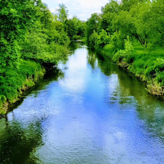 Fotosoutěž VODA 2023 – Alena Vondráčková: Řeka Chrudimka - Pardubice