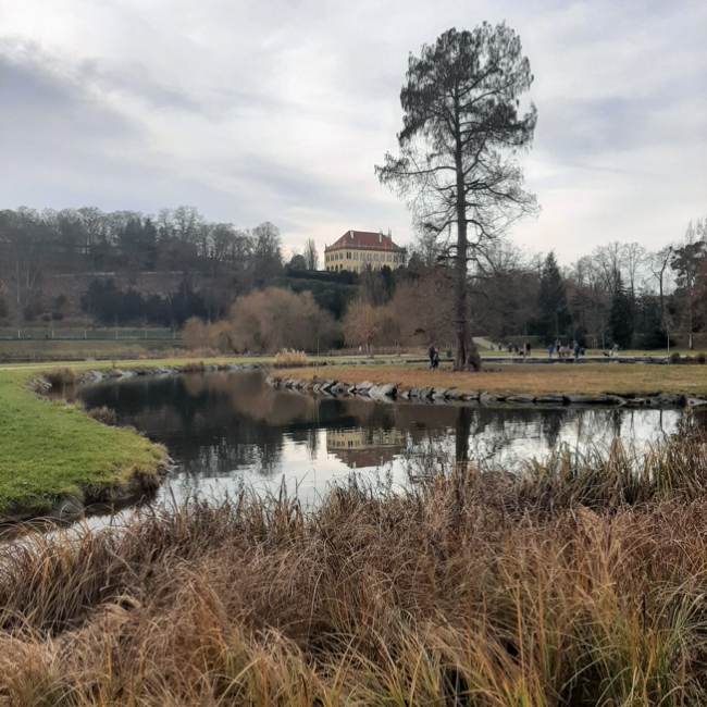 Fotosoutěž VODA 2023 – Adriana Mitisková: Stromovka park – Praha